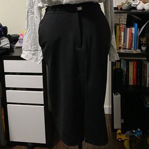 Express Pencil Skirt
